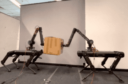 Two collaborative quadrupeds manipulating a shared object