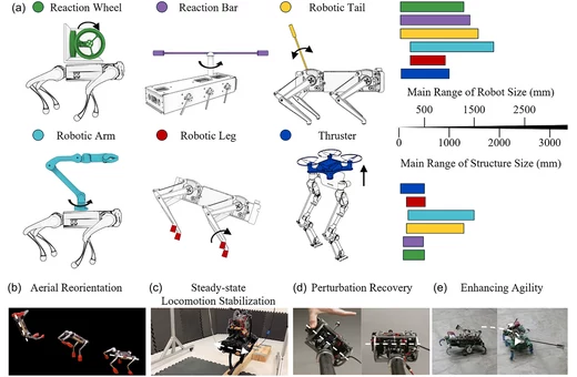 Figure 1 overview of rotation-control structures and their functional categories